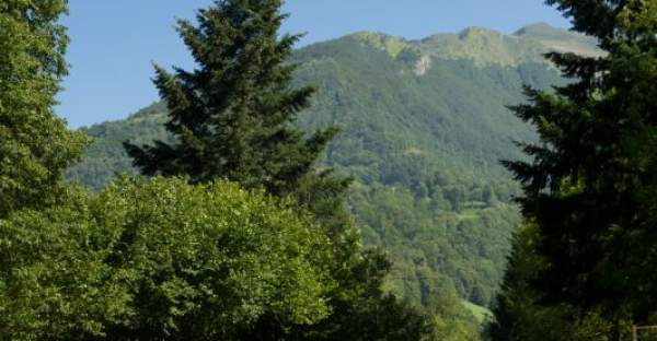 Vacances en tente dans les Hautes Pyrénées sur un terrain arboré