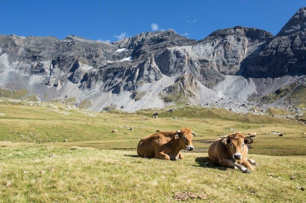 cirque de gavarnie randonnée